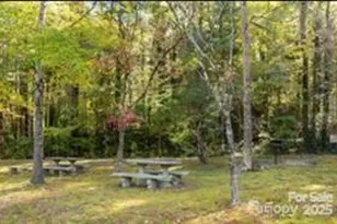 11 Lake Dr, Laurel Park, NC 28739 - Photo 20