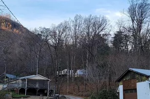 138 Buddy Ln, Chimney Rock, NC 28720 - Photo 16