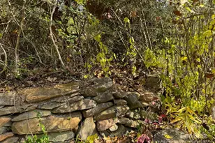 3510 US 64 Hwy, Rutherfordton, NC 28139 - Photo 4