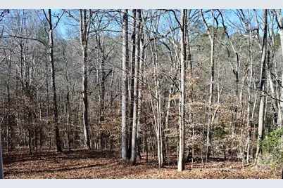 7972 Summit Ridge Drive, Catawba, NC 28609 - Photo 20