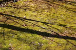 7972 Summit Ridge Dr, Catawba, NC 28609 - Photo 40