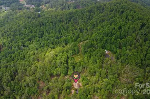 355 Rosewood Ln, Burnsville, NC 28714 - Photo 44