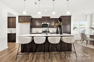 44010 Donald Ross Ct, Lancaster, SC 29720 - Photo 4