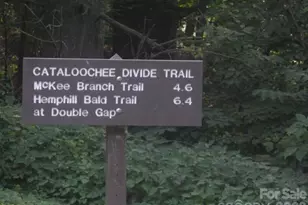 643 Bent Tree Rd, Maggie Valley, NC 28751 - Photo 42