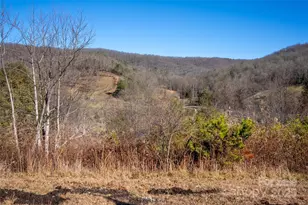 33 N Shadow Run, Balsam Grove, NC 28708 - Photo 32