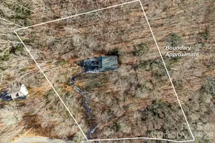 842 Grouse Rd, Clyde, NC 28721 - Photo 28