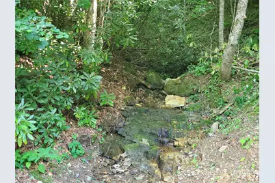 5023 Elk Park Highway, Elk Park, NC 28622 - Photo 34