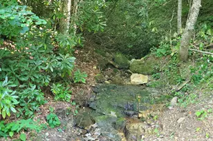 5023 Elk Park Hwy, Elk Park, NC 28622 - Photo 34