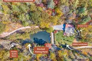 226 Fish Pond Ln, Burnsville, NC 28714 - Photo 2