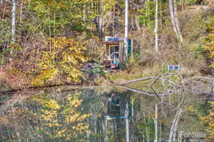 226 Fish Pond Ln, Burnsville, NC 28714 - Photo 38