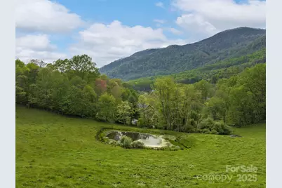 1963 Crymes Cove Road, Waynesville, NC 28786 - Photo 42
