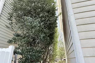 11220 Suunto Ln, Cornelius, NC 28031 - Photo 20