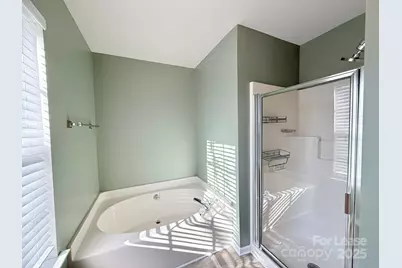 11220 Suunto Lane, Cornelius, NC 28031 - Photo 18