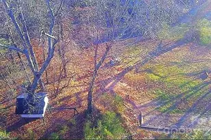 138 Rash Rd, Lincolnton, NC 28092 - Photo 4