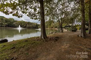 8307 Cricket Lake Dr, Charlotte, NC 28277 - Photo 44