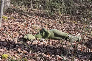 98 Poplar Springs Rd, Hiddenite, NC 28625 - Photo 16