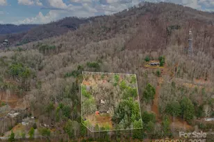 32 Saunooke Rd, Asheville, NC 28805 - Photo 4