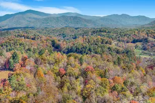 148 Fish Pond Ln, Burnsville, NC 28714 - Photo 12