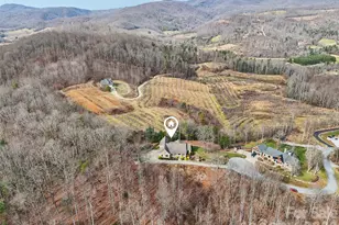 959 Silverglen Wy, Hendersonville, NC 28792 - Photo 44