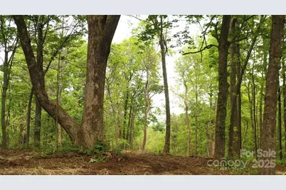 68, 77 & 92 Misty Dawn Cove #4A, 5A & 13A, Hendersonville, NC 28792 - Photo 42