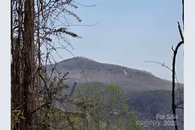 68, 77 & 92 Misty Dawn Cove #4A, 5A & 13A, Hendersonville, NC 28792 - Photo 8