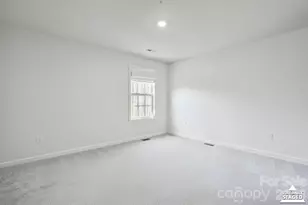 313 Streamwood Rd, Troutman, NC 28166 - Photo 14