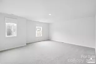 313 Streamwood Rd, Troutman, NC 28166 - Photo 18