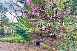 297 Hillside St, Asheville, NC 28801 - Photo 38