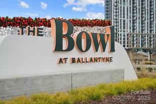 10834 Rogalla Dr, Charlotte, NC 28277 - Photo 40