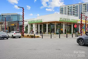 10834 Rogalla Dr, Charlotte, NC 28277 - Photo 42