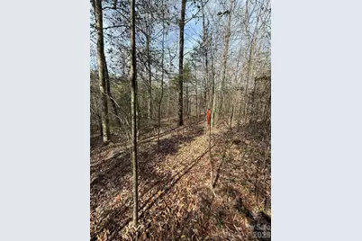 Lot # 5 West Legacy Drive, Hendersonville, NC 28739 - Photo 12