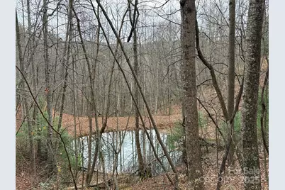Tbd Casey Mountain Road #218, Purlear, NC 28665 - Photo 16