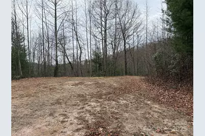 Tbd Casey Mountain Road #218, Purlear, NC 28665 - Photo 12