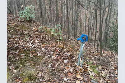 Tbd Casey Mountain Road #218, Purlear, NC 28665 - Photo 8