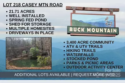 Tbd Casey Mountain Road #218, Purlear, NC 28665 - Photo 1