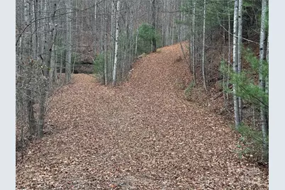Tbd Casey Mountain Road #218, Purlear, NC 28665 - Photo 20