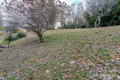 127 Reid Queen Drive, Little Switzerland, NC 28749 - Photo 24