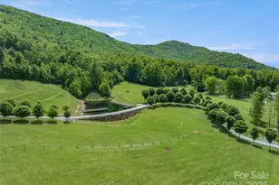 1547 Walnut Cove Rd, Hendersonville, NC 28739 - Photo 36