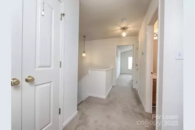 163 Springwood Lane, Mooresville, NC 28117 - Photo 18