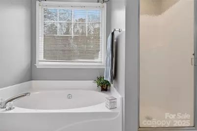 150 Frost Lane, Mooresville, NC 28115 - Photo 12