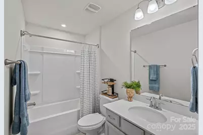 3813 Amalia Place, Fort Mill, SC 29707 - Photo 28