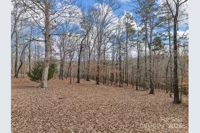 1020 Blanton Street, Columbus, NC 28722 - Photo 38