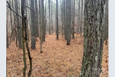 0 Frog Creek Road, Union Mills, NC 28167 - Photo 2