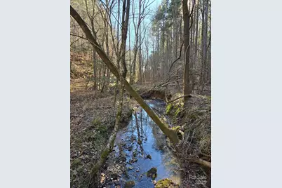 0 Frog Creek Road, Union Mills, NC 28167 - Photo 4