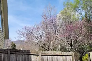 35 Cotton Creek Cir, Black Mountain, NC 28711 - Photo 6