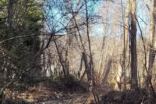 35 Cotton Creek Cir, Black Mountain, NC 28711 - Photo 2