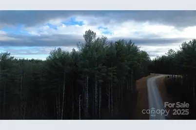 597 Peninsula Reserve Road #34, Nebo, NC 28761 - Photo 10