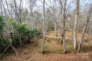 220 Leverette Dr, Hendersonville, NC 28791 - Photo 40