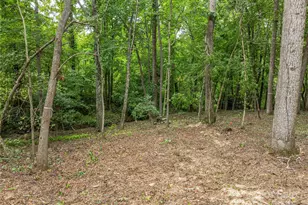 644 Walnut Valley Pkwy, Arden, NC 28704 - Photo 38