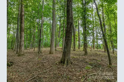 644 Walnut Valley Parkway, Arden, NC 28704 - Photo 12